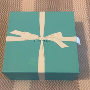 Tiffany & Co. Empty Box with Cream Ribbon